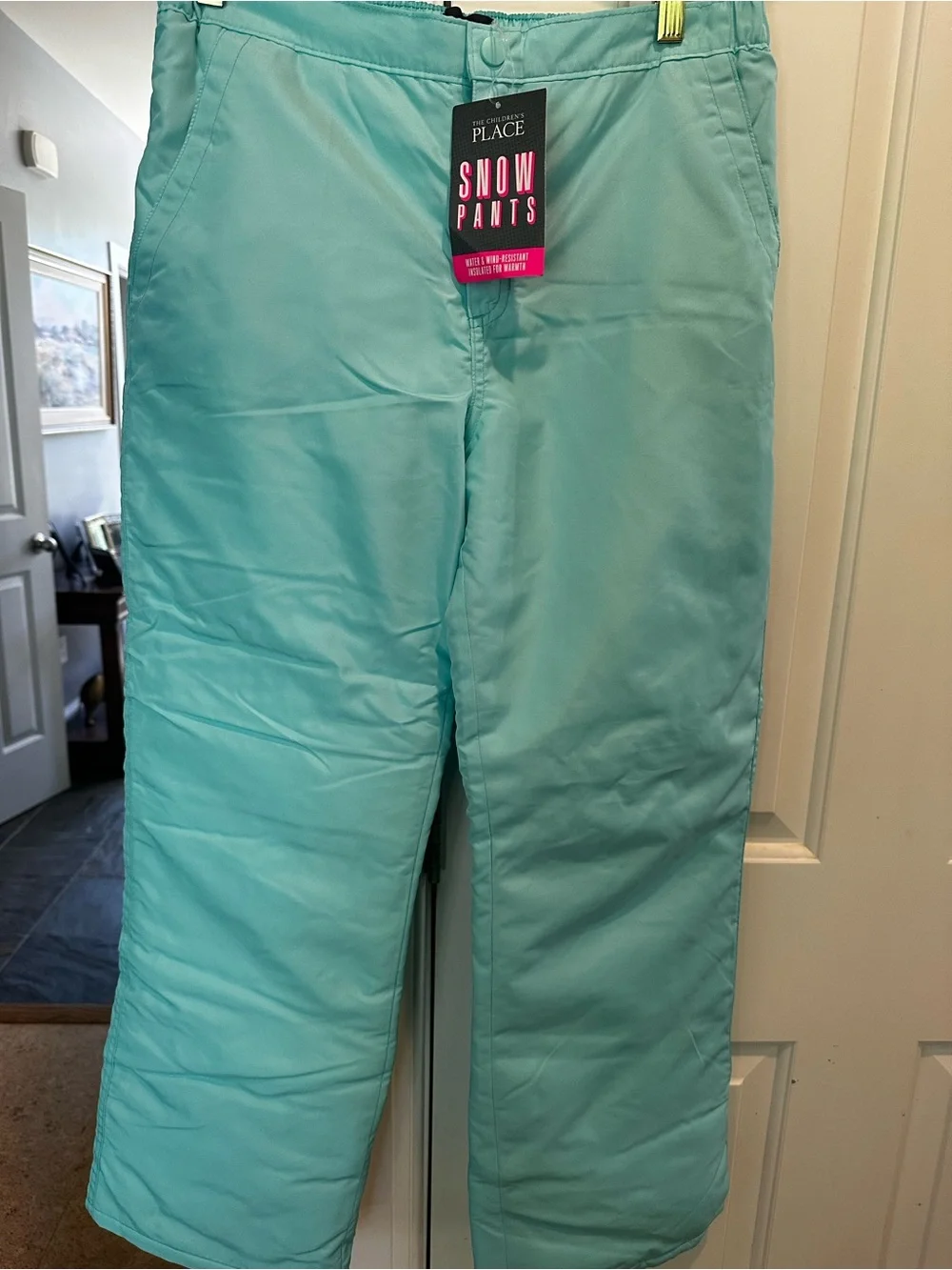 The Children's Place Light Aqua Snow Pants